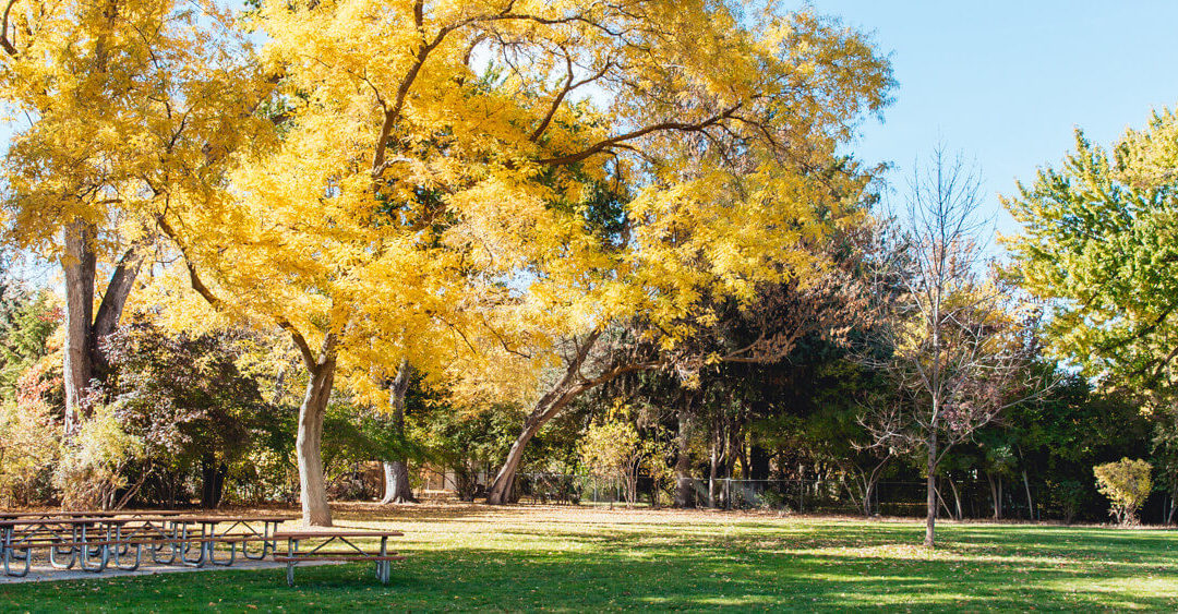 Top 7 Parks on the Boise Bench (Local Favorites)